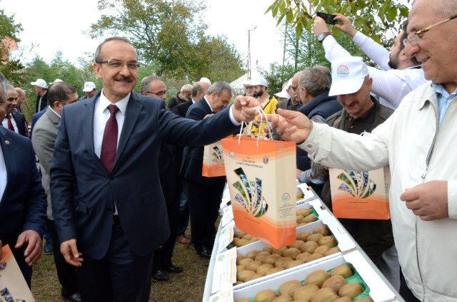 Ordu’da ‘Kivi Hasat Şenliği’