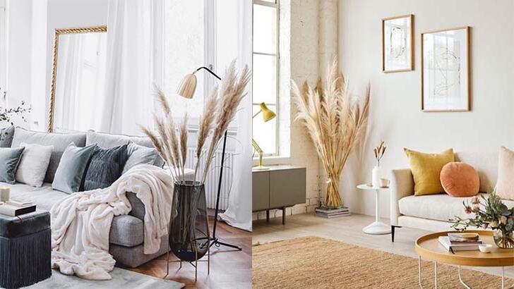 Evinize doğallık katacak pampas otu ile dekorasyon nasıl yapılır?
