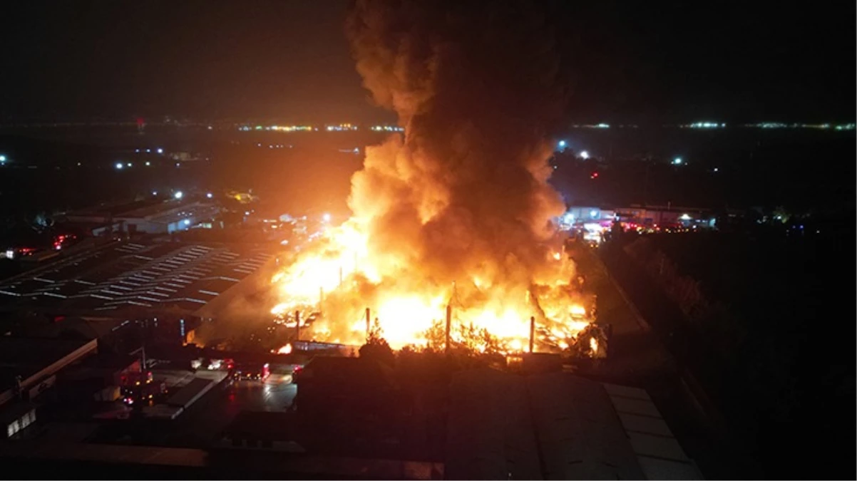 Gebze’de palet fabrikası yanıyor! Alevler yayıldı, etraf vilayetlerden itfaiye sevk edildi