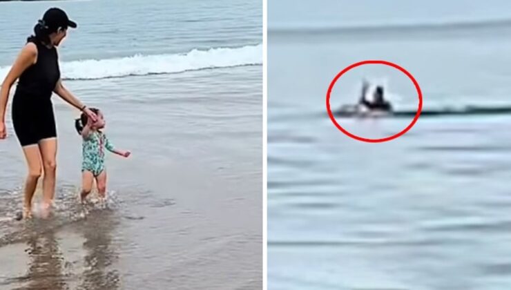 Genç çift, tesadüfen köpek balığının öldürdüğü adamın son anlarını kayda aldı