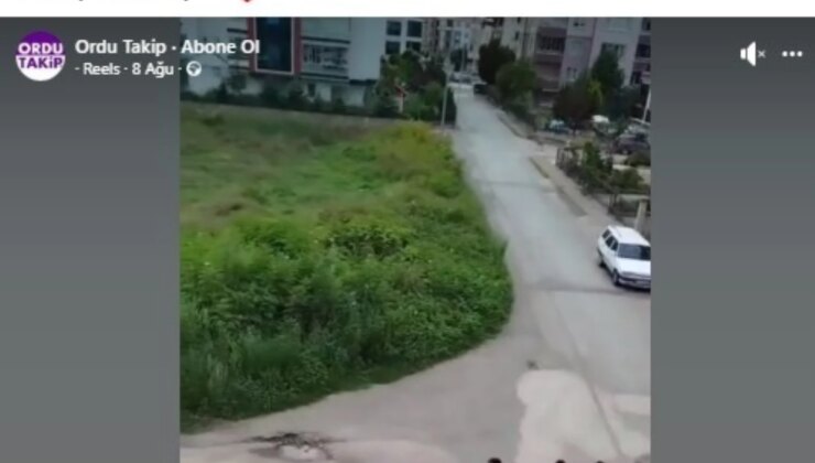 Ordu’da çocuklar park istedi, belediye park yapacak