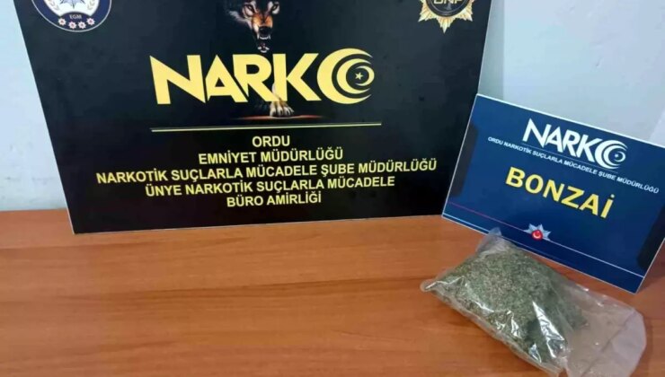 Ordu’da Uyuşturucu Operasyonunda 2 Tutuklama