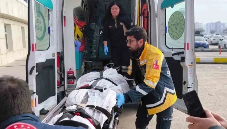 Domuz avında ayı saldırısına uğrayan eski muhtar hayatını kaybetti