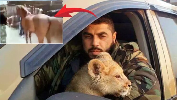 Esirleri aslanlara yediriyordu! Esad’ın kumandanının kan donduran manzaraları