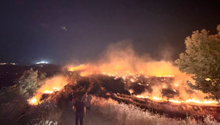 Hatay’da anızda çıkıp zeytin bahçelerine sıçrayan yangın denetim altına alındı